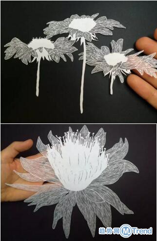 她凭一张白纸，征服了全世界！