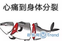 带鱼孩子刷爆网络成小网红 粗心家长现身解释