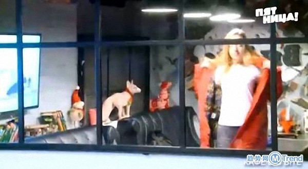 美女脱衣肉体乳香暖床创业受宅男追捧