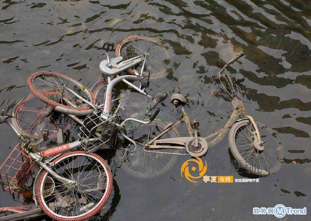 毁损共享单车人员受罚 小黄车摩拜被虐惨