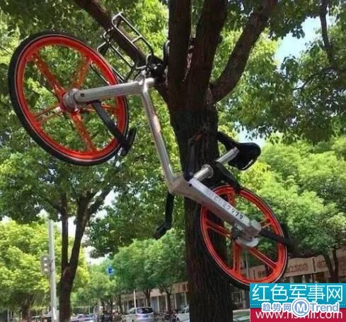 毁损共享单车人员受罚 小黄车摩拜被虐惨