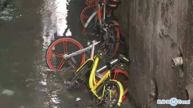 毁损共享单车人员受罚 小黄车摩拜被虐惨