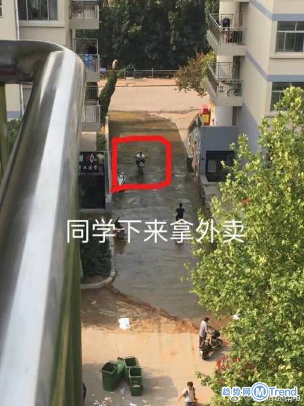 济南大学化粪池炸了 一片翔河