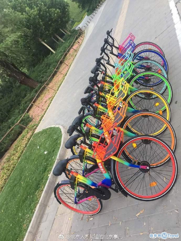 彩虹色单车出现啦 你让接下来创业者怎么活...
