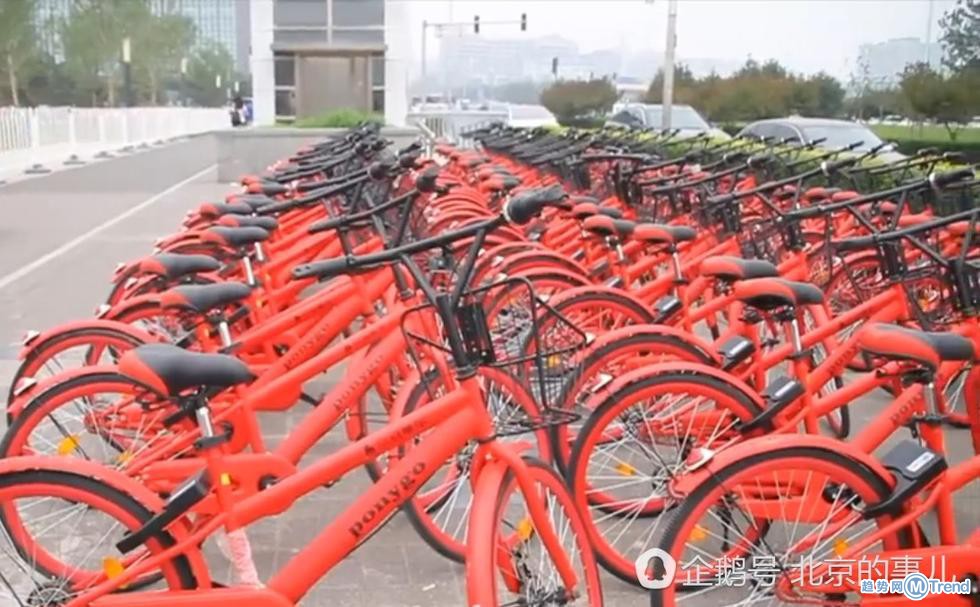 北京现小龙虾共享单车