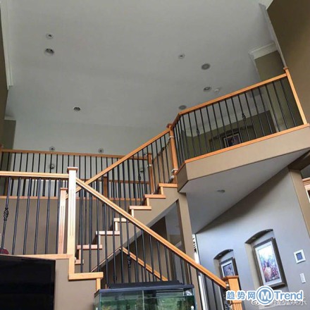 明星也屯学区房？张柏芝晒加拿大豪宅学区房