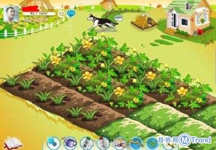 腾讯关闭朋友网 你还记得当年 偷 过的菜吗？