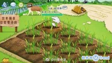 腾讯关闭朋友网 你还记得当年 偷 过的菜吗？