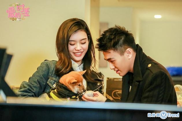 何猷君智商超群 却被奚梦瑶带low