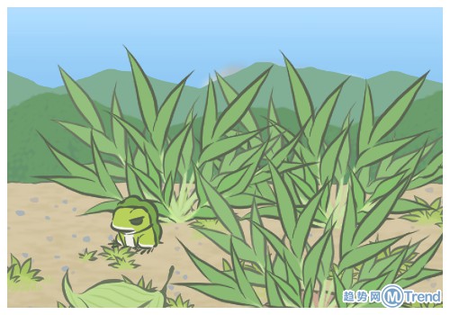 青蛙旅行明信片照片