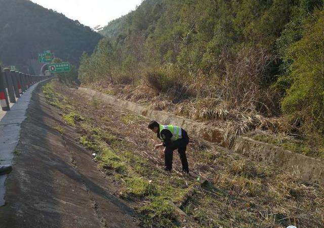 热点：时尚总裁苏芒辞职 6万硬币撒高速 美军飞行员遇UFO