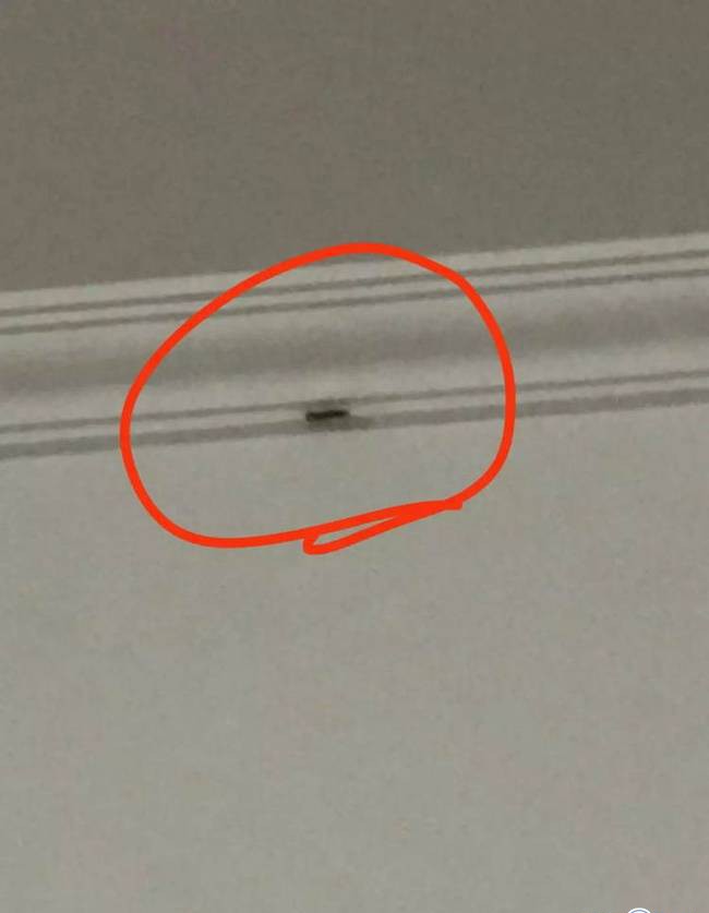 热点：会打虫子的外卖哥 民警扶大妈被讹