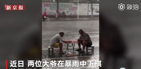 暴雨中下象棋的网红大爷
