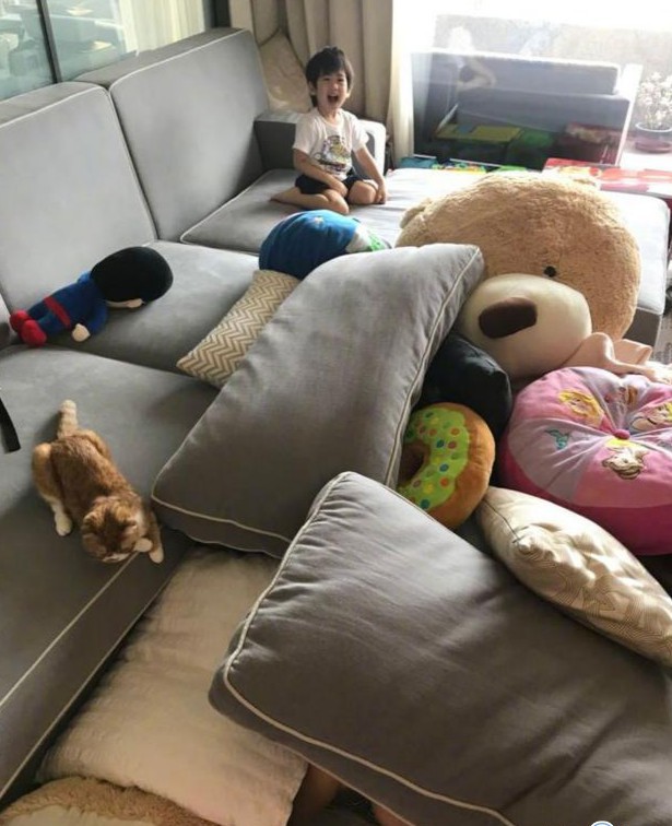 热点：林志颖晒凌乱客厅 大S大谈剥虾论