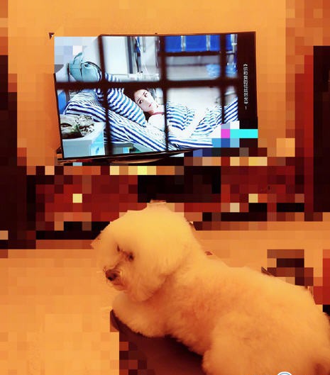 热点：赵丽颖婚后首晒照曝光新家 东航回应系统漏洞